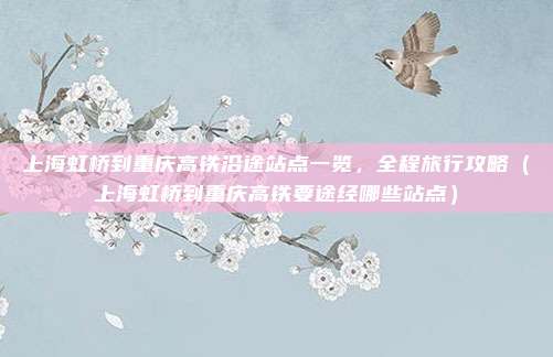 上海虹桥到重庆高铁沿途站点一览,全程旅行攻略(上海虹桥到重庆高铁要途经哪些站点)