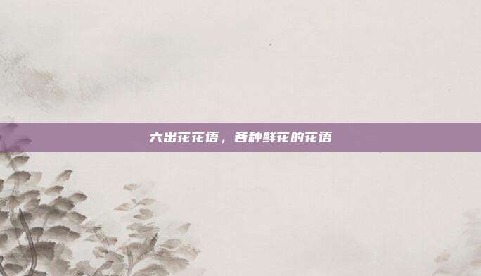 六出花花语,各种鲜花的花语