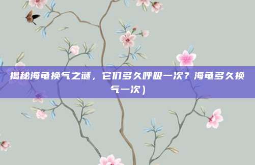 揭秘海龟换气之谜,它们多久呼吸一次?海龟多久换气一次)