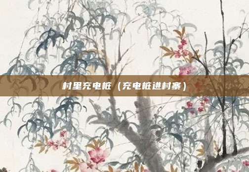村里充电桩（充电桩进村寨）