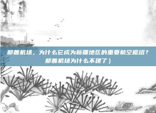 鄯善机场,为什么它成为新疆地区的重要航空枢纽?鄯善机场为什么不建了)