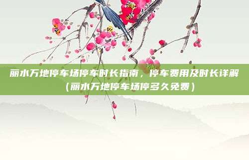 丽水万地停车场停车时长指南,停车费用及时长详解(丽水万地停车场停多久免费)