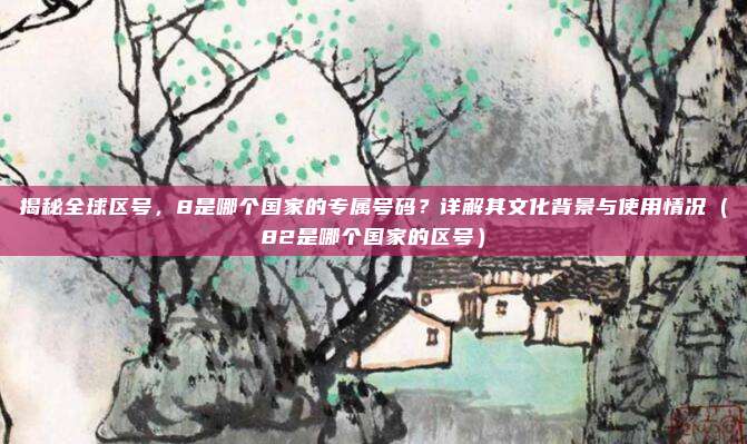 揭秘全球区号,8是哪个国家的专属号码?详解其文化背景与使用情况(82是哪个国家的区号)