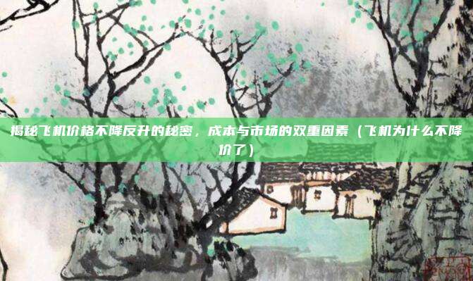 揭秘飞机价格不降反升的秘密,成本与市场的双重因素(飞机为什么不降价了)
