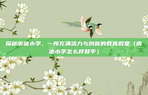 探秘南油小学,一所充满活力与创新的教育殿堂(南油小学怎么样知乎)