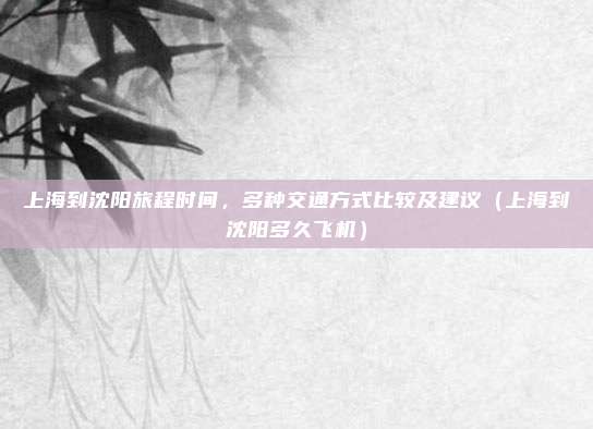 上海到沈阳旅程时间,多种交通方式比较及建议(上海到沈阳多久飞机)