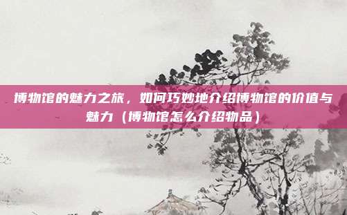 博物馆的魅力之旅,如何巧妙地介绍博物馆的价值与魅力(博物馆怎么介绍物品)