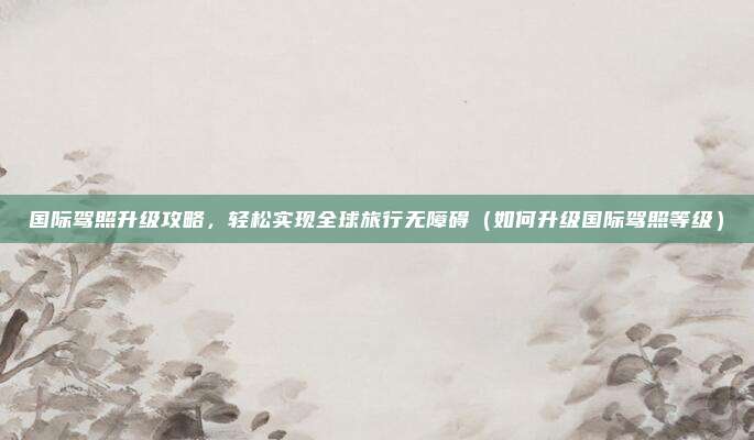 国际驾照升级攻略,轻松实现全球旅行无障碍(如何升级国际驾照等级)