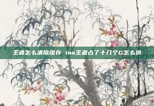 王者怎么清除缓存 ios王者占了十几个G怎么搞