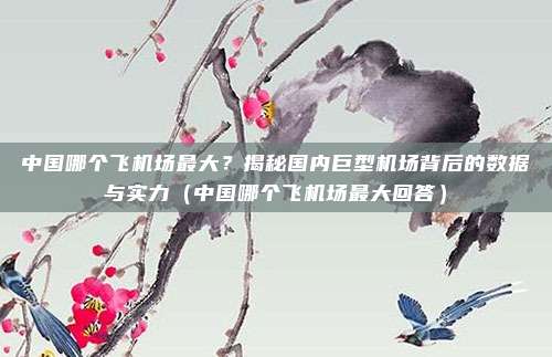 中国哪个飞机场最大?揭秘国内巨型机场背后的数据与实力(中国哪个飞机场最大回答)