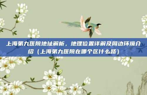 上海第九医院地址解析,地理位置详解及周边环境介绍(上海第九医院在哪个区什么路)