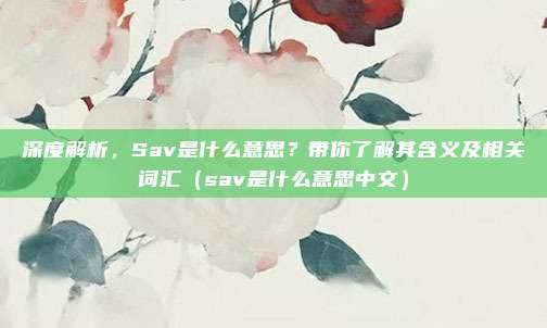 深度解析,Sav是什么意思?带你了解其含义及相关词汇(sav是什么意思中文)