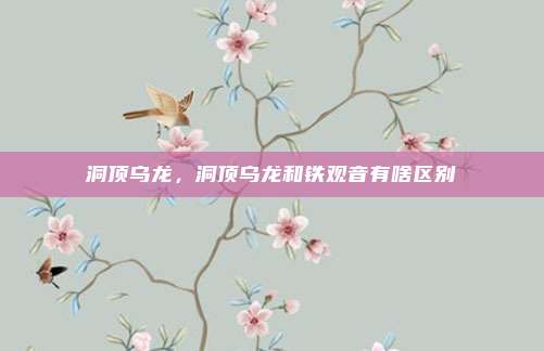 洞顶乌龙,洞顶乌龙和铁观音有啥区别