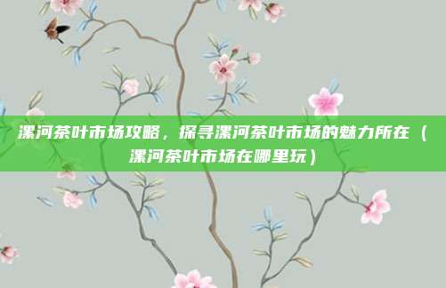 漯河茶叶市场攻略,探寻漯河茶叶市场的魅力所在(漯河茶叶市场在哪里玩)