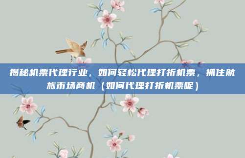 揭秘机票代理行业,如何轻松代理打折机票,抓住航旅市场商机(如何代理打折机票呢)