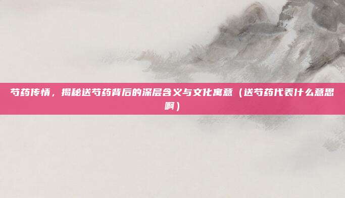 芍药传情,揭秘送芍药背后的深层含义与文化寓意(送芍药代表什么意思啊)