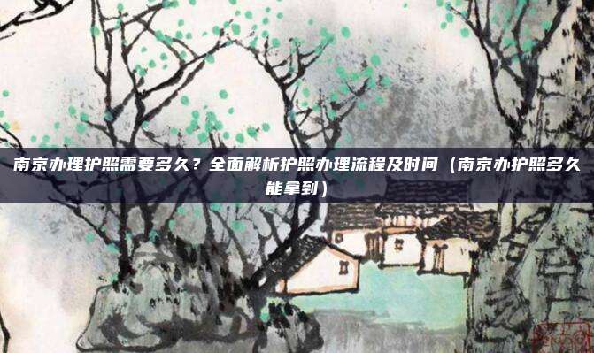 南京办理护照需要多久?全面解析护照办理流程及时间(南京办护照多久能拿到)