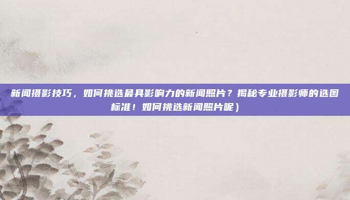 新闻摄影技巧,如何挑选最具影响力的新闻照片?揭秘专业摄影师的选图标准!如何挑选新闻照片呢)