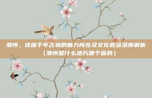 潮州,这座千年古城的魅力所在及文化底蕴深度解析(潮州是什么地方哪个省的)