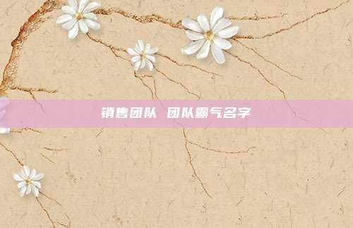 销售团队 团队霸气名字