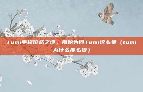 Tumi手袋价格之谜,揭秘为何Tumi这么贵(tumi为什么那么贵)