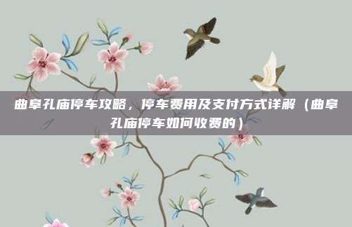 曲阜孔庙停车攻略,停车费用及支付方式详解(曲阜孔庙停车如何收费的)