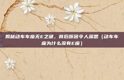 揭秘动车车座无E之谜,背后原因令人深思(动车车座为什么没有E座)