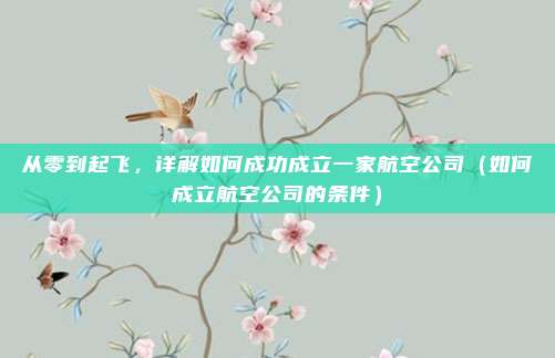 从零到起飞,详解如何成功成立一家航空公司(如何成立航空公司的条件)