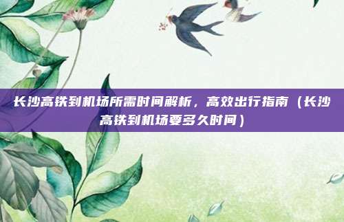 长沙高铁到机场所需时间解析,高效出行指南(长沙高铁到机场要多久时间)