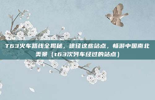 T63火车路线全揭秘,途径这些站点,畅游中国南北美景(t63次列车经过的站点)