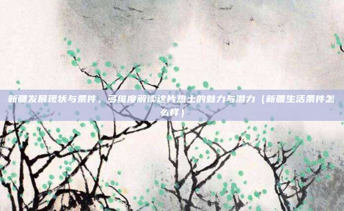 新疆发展现状与条件,多维度解读这片热土的魅力与潜力(新疆生活条件怎么样)
