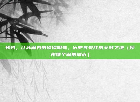 邳州,江苏省内的璀璨明珠,历史与现代的交融之地(邳州哪个省的城市)