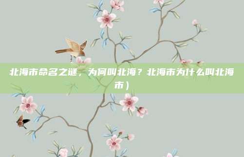 北海市命名之谜,为何叫北海?北海市为什么叫北海市)