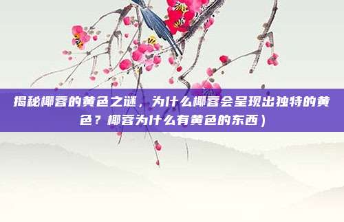 揭秘椰蓉的黄色之谜,为什么椰蓉会呈现出独特的黄色?椰蓉为什么有黄色的东西)