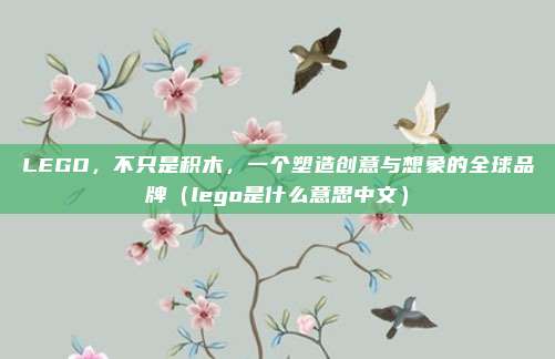 LEGO,不只是积木,一个塑造创意与想象的全球品牌(lego是什么意思中文)