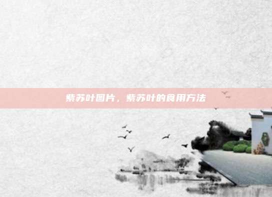 紫苏叶图片，紫苏叶的食用方法
