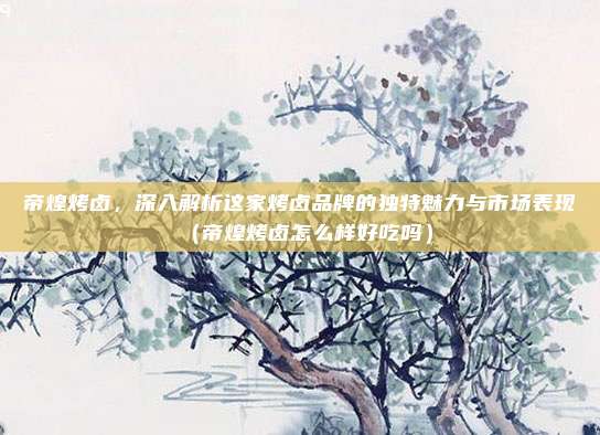 帝煌烤卤，深入解析这家烤卤品牌的独特魅力与市场表现（帝煌烤卤怎么样好吃吗）