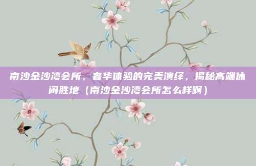 南沙金沙湾会所,奢华体验的完美演绎,揭秘高端休闲胜地(南沙金沙湾会所怎么样啊)