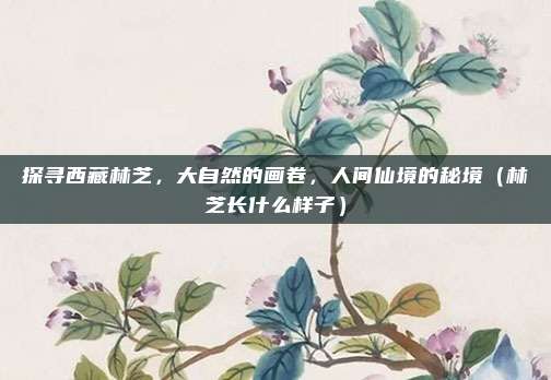 探寻西藏林芝,大自然的画卷,人间仙境的秘境(林芝长什么样子)