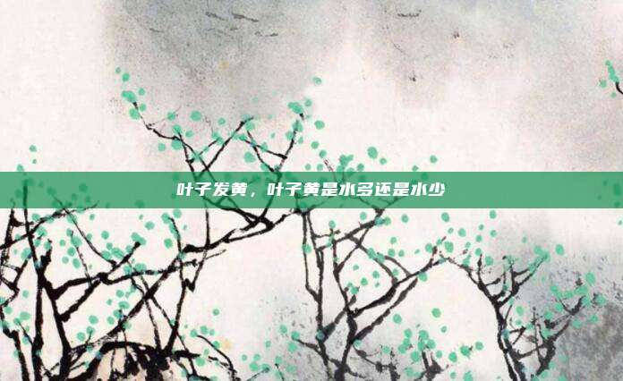 叶子发黄，叶子黄是水多还是水少