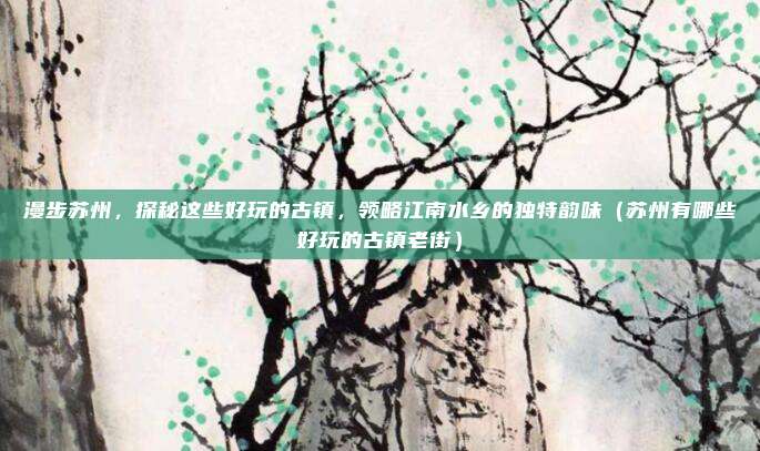 漫步苏州,探秘这些好玩的古镇,领略江南水乡的独特韵味(苏州有哪些好玩的古镇老街)