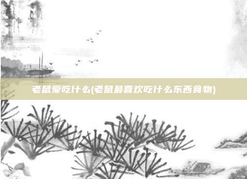 老鼠爱吃什么(老鼠最喜欢吃什么东西食物)