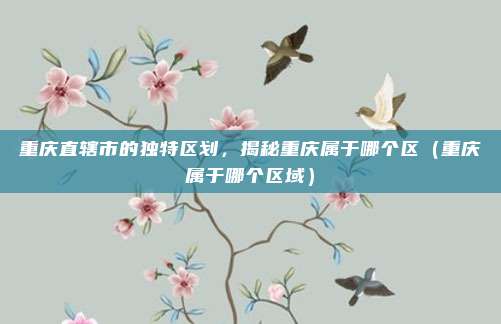 重庆直辖市的独特区划,揭秘重庆属于哪个区(重庆属于哪个区域)