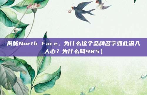 揭秘North Face,为什么这个品牌名字如此深入人心?为什么叫985)