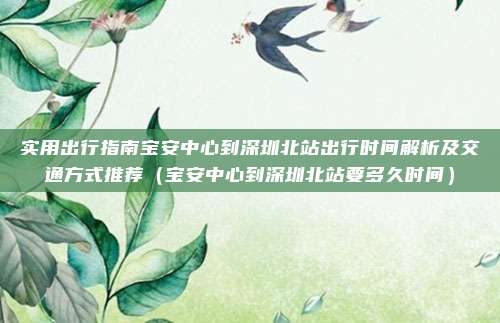 实用出行指南宝安中心到深圳北站出行时间解析及交通方式推荐（宝安中心到深圳北站要多久时间）