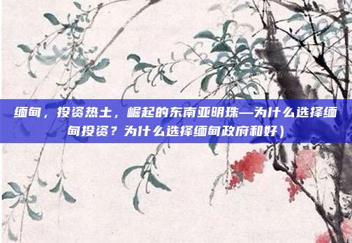 缅甸,投资热土,崛起的东南亚明珠—为什么选择缅甸投资?为什么选择缅甸政府和好)