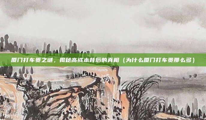 厦门打车贵之谜,揭秘高成本背后的真相(为什么厦门打车贵那么多)