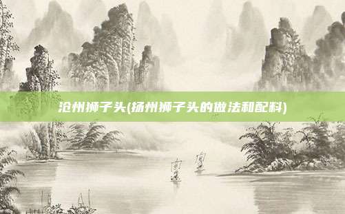 沧州狮子头(扬州狮子头的做法和配料)