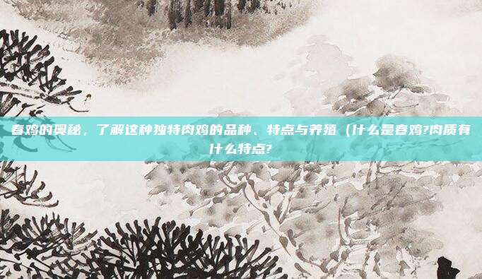 春鸡的奥秘,了解这种独特肉鸡的品种、特点与养殖(什么是春鸡?肉质有什么特点?