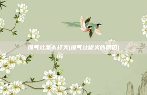 煤气灶怎么打火(燃气灶熄火的原因)
